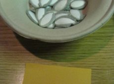 Silver Edged pumpkin seeds