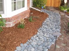 New bioswale captures and sinks water deep into the ground for fruit trees to enjoy.