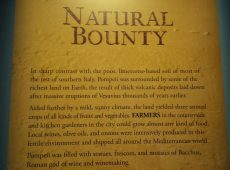 Fertile soil meant abundant harvests for trade.