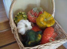 Some home grown, some pilfered. All beautiful.