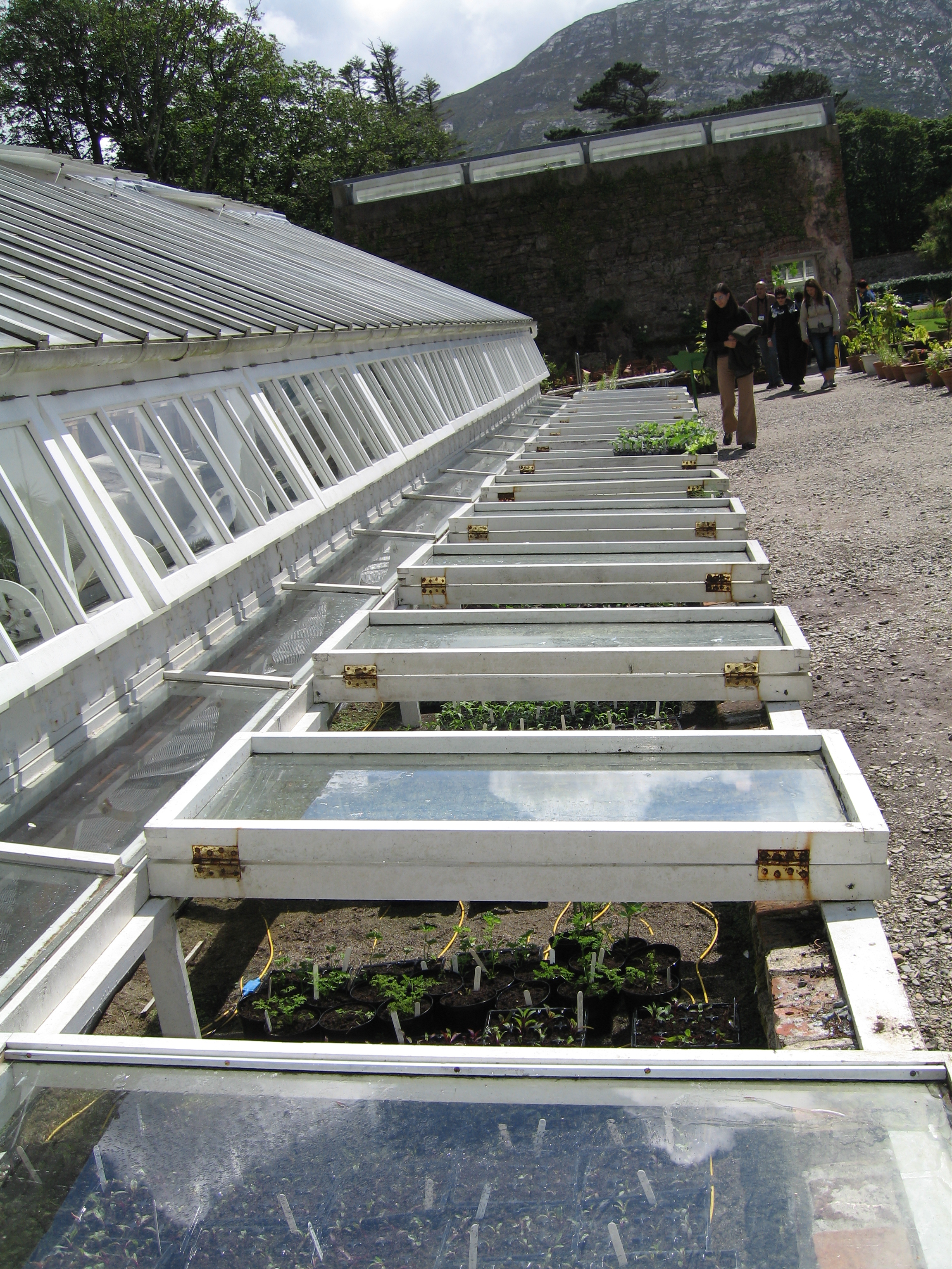 Glass house cold frames