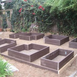 Raised Beds – Part 3 continued – If you build it…