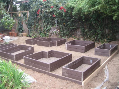 Read more about the article Raised Beds – Part 3 continued – If you build it…