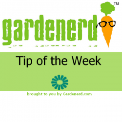 The All New Gardenerd Tip Of the Week Podcast