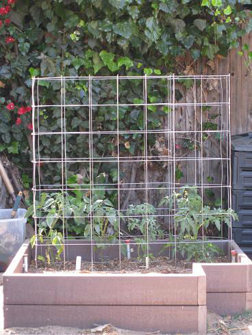 Read more about the article Makin’ Tomato Cages