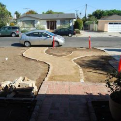 Our Landscaping Project – Part 2