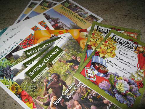 You are currently viewing Fall Garden Planning Workshop Review