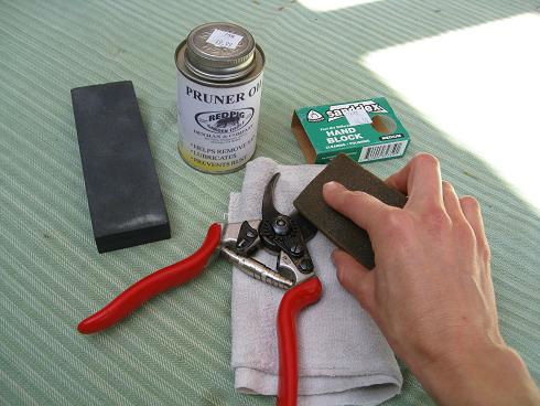 Read more about the article YouTube: How to Clean Pruning Shears