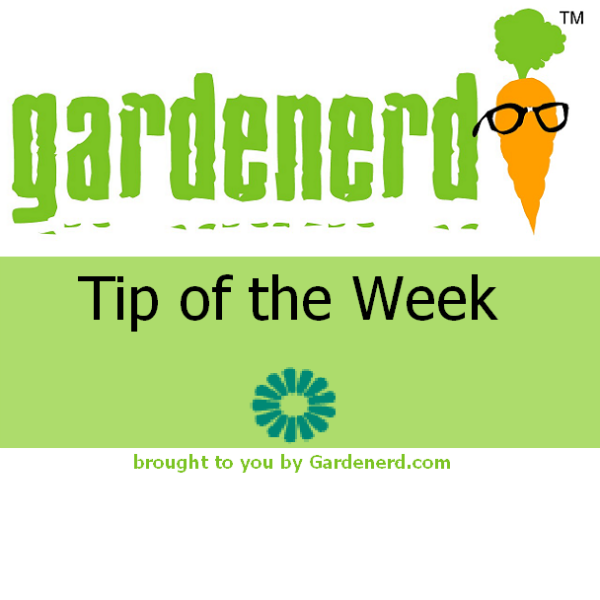 Read more about the article Tool Talk for Spring Gardening