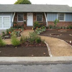 Our Landscaping Project – Part 3