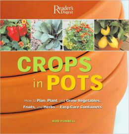 Read more about the article Easy Plants for Pots