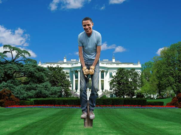 Read more about the article White House to Install a Vegetable Garden