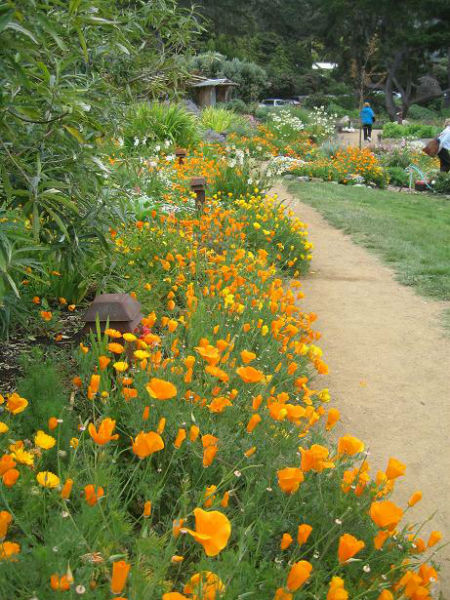 You are currently viewing Gardenerd at Esalen