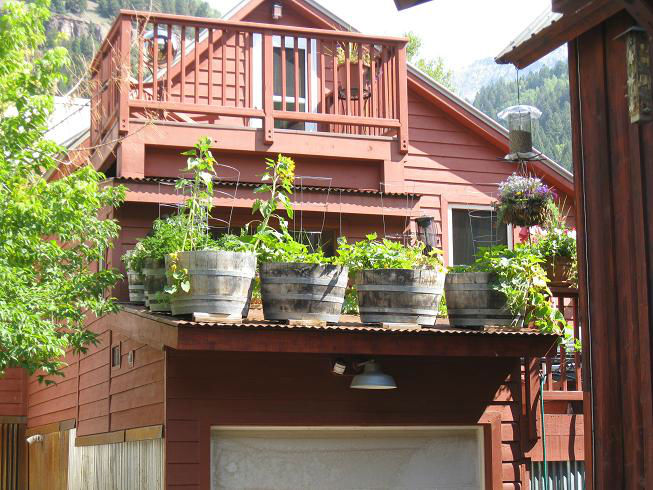 Rooftopgarden