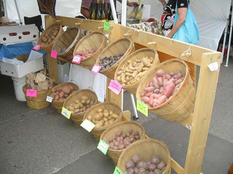 Read more about the article Telluride Farmer’s Market