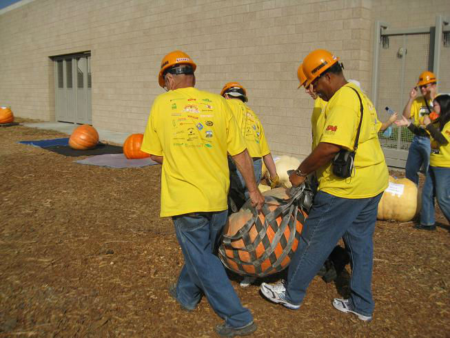 4guyspumpkin