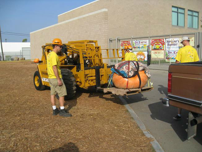 Forkliftpumpkin