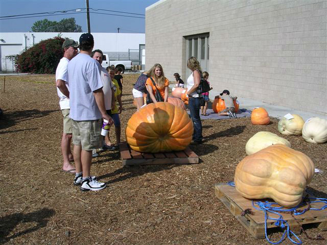 Pumpkinmania_Oct_2009006