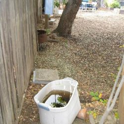 Rain Barrel – 3 Ways