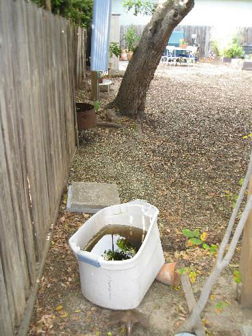 Read more about the article Rain Barrel – 3 Ways