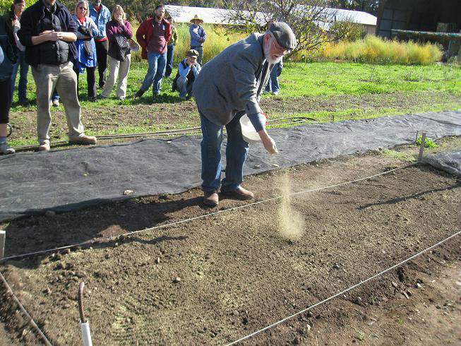 You are currently viewing Grow BioIntensive Workshop