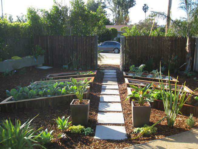 Read more about the article Malibu Vegetable Garden Delight