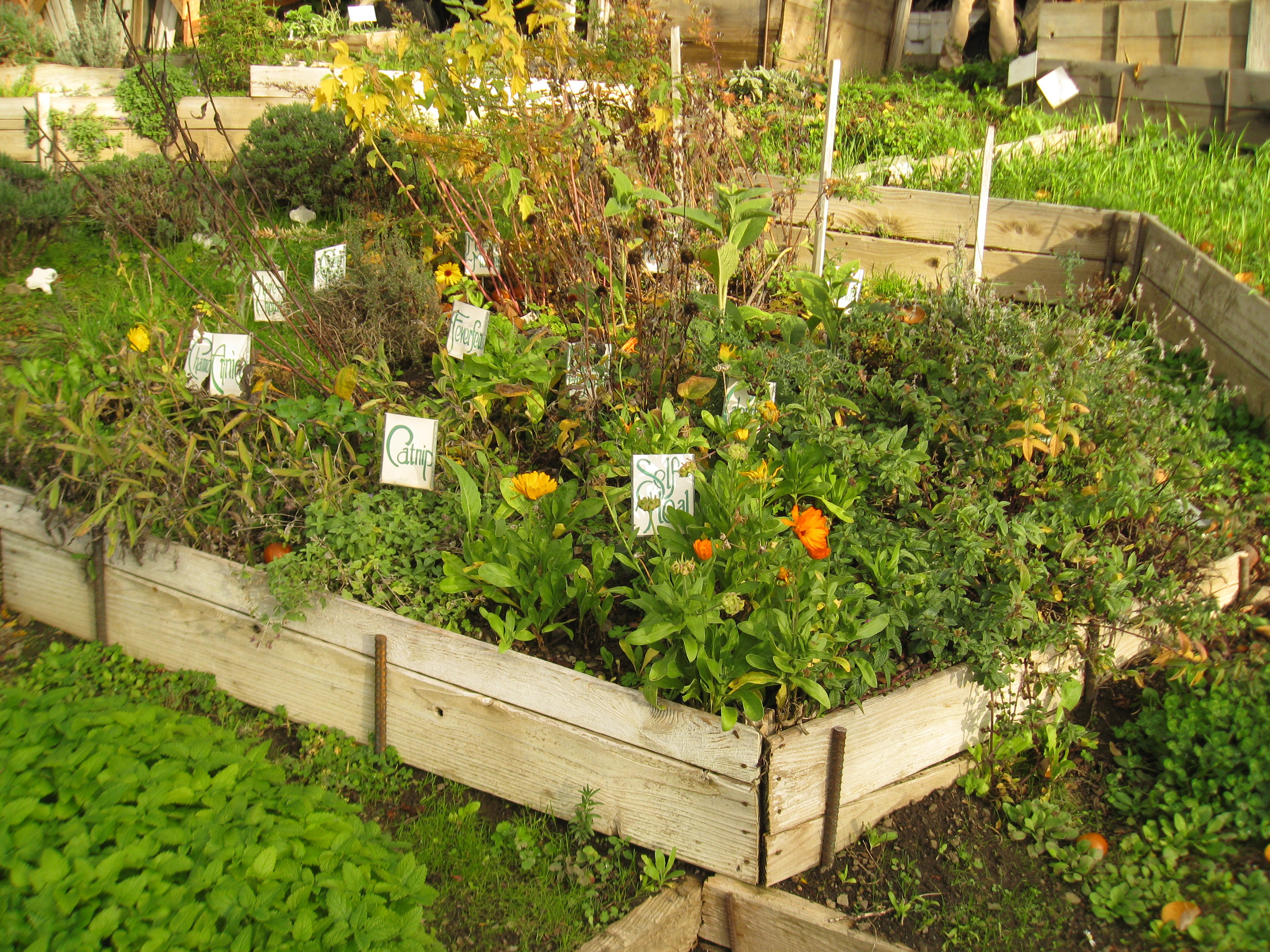 Gardenerd: Organic Edible Gardening | Ecology Action Farm