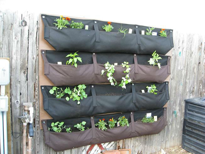 Read more about the article Woolly Pocket Wall Garden