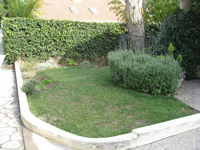 You are currently viewing Front Yard Veggies in Manhattan Beach