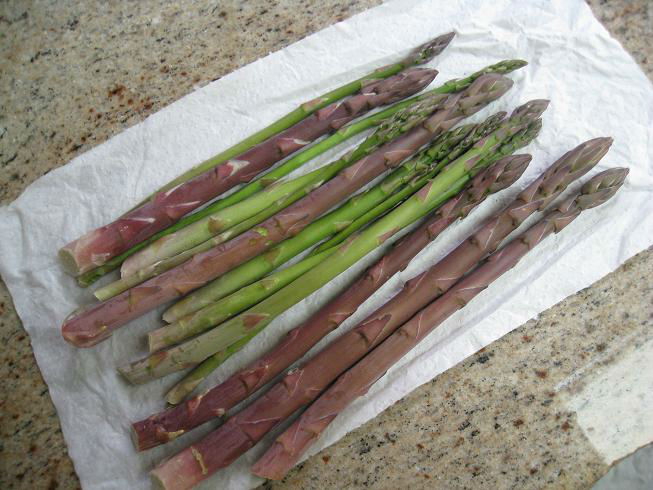 You are currently viewing 3rd Year Asparagus …and they’re off!