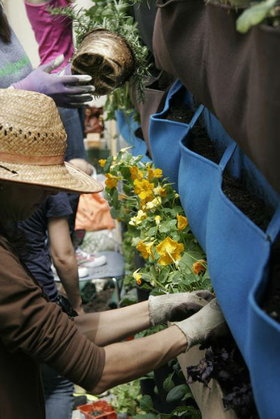 Read more about the article Woolly School Gardens Needs Your Vote!