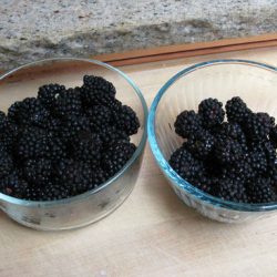 Bountiful Harvests from Neighbors