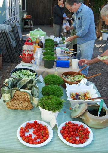 Read more about the article Gardenerd Potluck and Seed Exchange Review