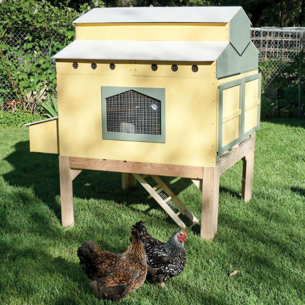 chickencoop