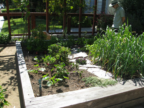 Gardenerd: Organic Edible Gardening | Mar Vista Green Garden Showcase