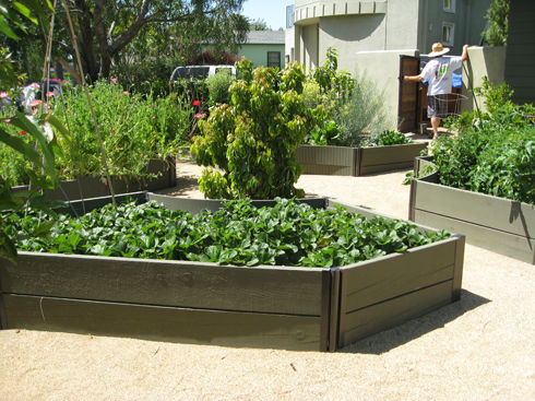 Gardenerd: Organic Edible Gardening | Mar Vista Green Garden Showcase