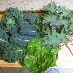 Growing Kale – Ironman of the Garden