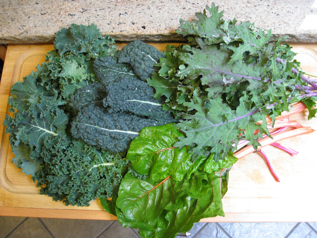 You are currently viewing Growing Kale – Ironman of the Garden