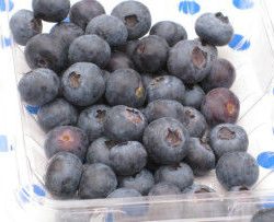 Local Organic Blueberries – Get ’em at the Patch