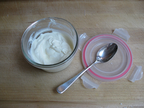 Read more about the article Trials and Tribulations of Making Yogurt