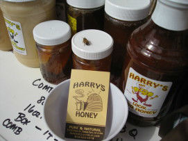 Read more about the article Local Honey is Nature’s Gift