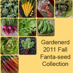 New 2011 Fall FantaSeed Collection