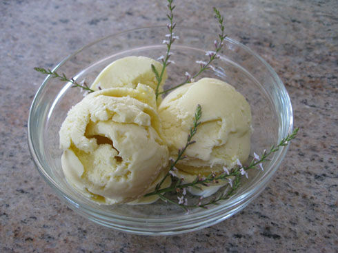 Read more about the article Lemon Verbena Ice Cream