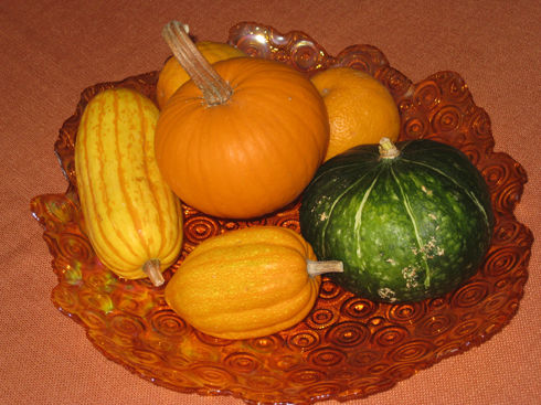 Read more about the article Harvesting Delicata and Acorn Squash