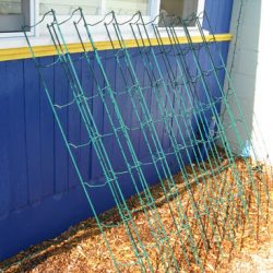 Fall Clean Up – Cleaning Tomato Cages