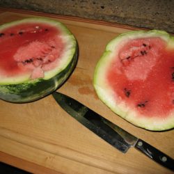 Harvesting Watermelons