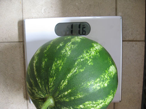 heavywatermelon