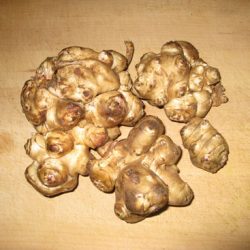 Jerusalem Artichokes