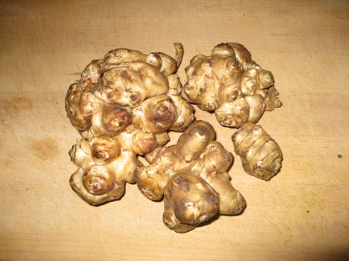 Read more about the article Jerusalem Artichokes