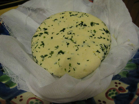 finishedpaneer